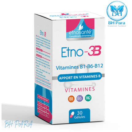 ETNO-3B